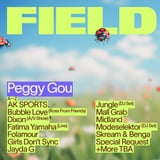 Field Day 2027