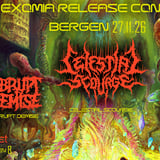 Celestial Scourge (+support Abrupt Demise & Contorted)