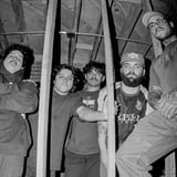Lessercare, Chico, Jinx, Total Pleasure