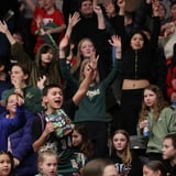 Wisconsin Herd vs. Grand Rapids Gold