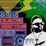Shub x Handsome Tiger