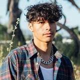 A.CHAL - CHOLOGANTE
