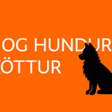 Þriðjudagsfyrirlestur: Þá fór allt í hund og kött