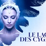 Lac des Cygnes