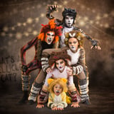 CATS - Young Actors Edition (NZSL & Audio Performance)
