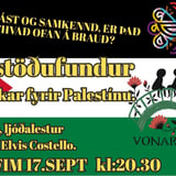 Samstöðufundur og -tónleikar fyrir Palestínu @ Tehúsið