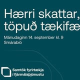 Hærri skattar, töpuð tækifæri?