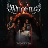 Wildnite rocker julen inn