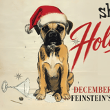 Shotz Holidazed