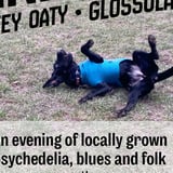 Mind Frog + Donkey Oaty + Glossolalia