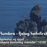 Flumbra - Fjelag hafnfirskra höfunda á Bókasafni Hafnarfjarðar