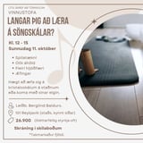 Vinnustofa - Langar þig að læra á söngskálar?