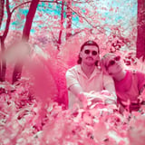 Pink Halo: 'Daydream' Album Release Show