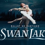 Ballet De Santiago - Swan Lane