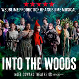 Into The Woods