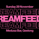 Screamfeeder: Geelong