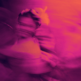Elkhart County Symphony: ¡Ritmo Botanico!