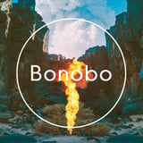 BONOBO