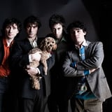 FAT WHITE FAMILY
