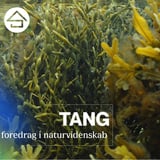Tang // Studenterhus Odense