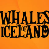 🐋🎃 Hrekkjavökupartý á Hvalasafninu // Halloween Party at Whales of Iceland 👻🐋