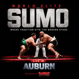 World Elite Sumo