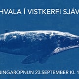 Mikilvægi hvala í vistkerfi sjávar- Málþing og Sýningaropnun