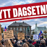 FELLUM ÞESSA RÍKISTJÓRN