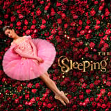 World Ballet Company: The Sleeping Beauty with a Live Orchestra