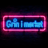 Grin i mørket