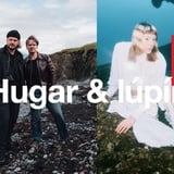 Hugar & lúpína