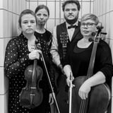 Svavar Knútur & The Sultanas of Strings (Island) Dresden