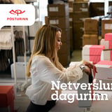Netverslunardagurinn