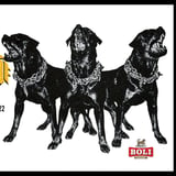 XXX Rottweiler á Verkstæðinu