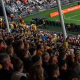 Wellington Phoenix Double-Header
