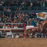 2027 San Diego Rodeo Tour 1.16