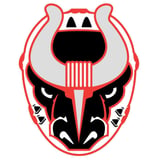 Birmingham Bulls v. Fayetteville Marksmen