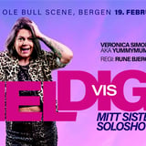 HELDIGvis mitt siste soloshow