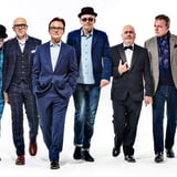 Madness - Delamere Forest