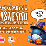 Halloween Party at Whales of Iceland