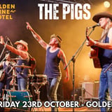 The Pigs Live at The Golden Vine Hotel Bendigo