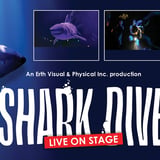 Erth's Shark Dive