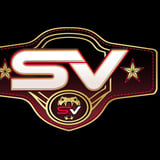 Stars Viper Cheer