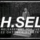 H. Self | Slaktkyrkan