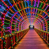 Holiday Lights at the Beach