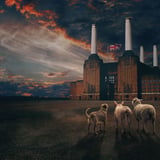 Brit Floyd - Animals 50