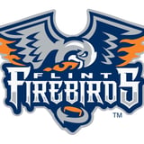 Flint Firebirds vs. Peterborough Petes