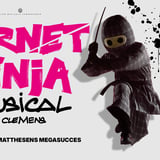 Ternet Ninja