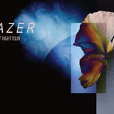 Sungazer with Button Masher