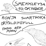 Ronja, Svartþoka, Drýsildjöfull, og Radio Red Moon í Smekkleysu
